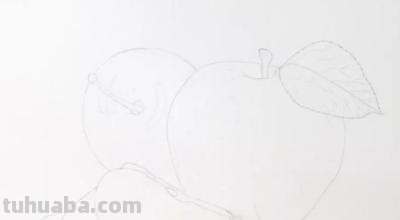 水果画作品彩铅怎么画 水果蔬菜彩铅画教程？