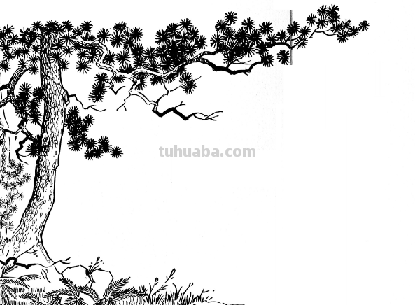 大树怎样画才好看