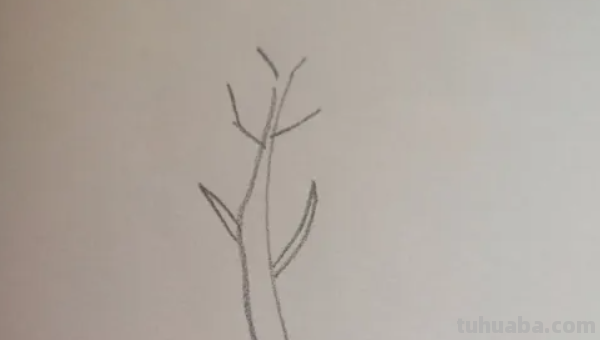树怎么画简单漂亮