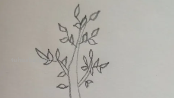 树怎么画简单漂亮