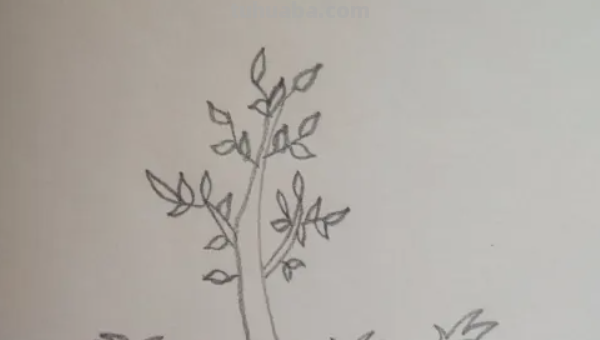 树怎么画简单漂亮