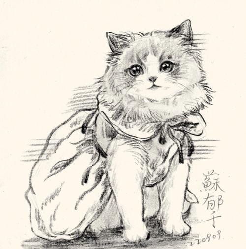 猫装饰速写 素描中猫的毛发应该怎样画？