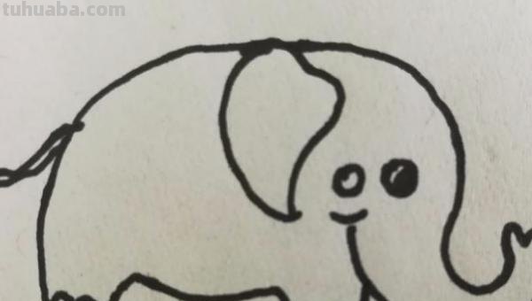 一头大象怎么画简笔画 如何画大象的简笔画步骤？