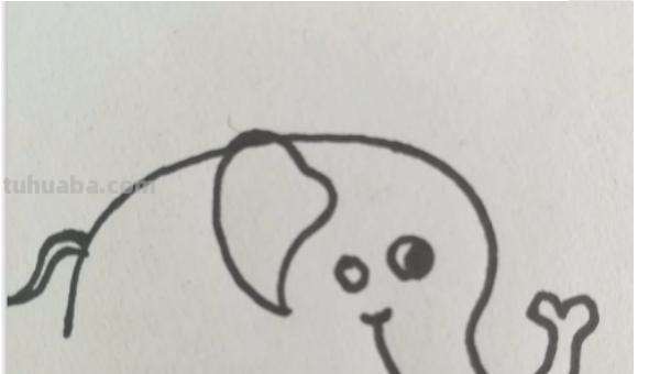 一头大象怎么画简笔画 如何画大象的简笔画步骤？