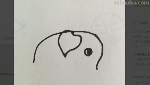 一头大象怎么画简笔画 如何画大象的简笔画步骤？