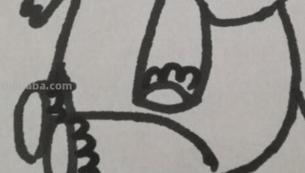一头大象怎么画简笔画 如何画大象的简笔画步骤？