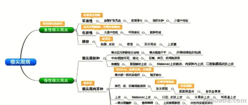 病理关系思维导图怎么画 思维导图怎么绘制？