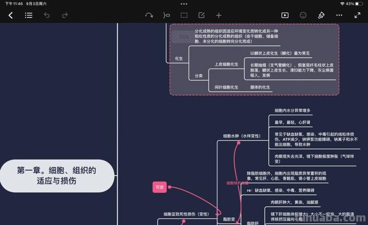 病理关系思维导图怎么画 思维导图怎么绘制？