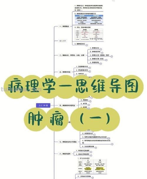 病理关系思维导图怎么画 思维导图怎么绘制？