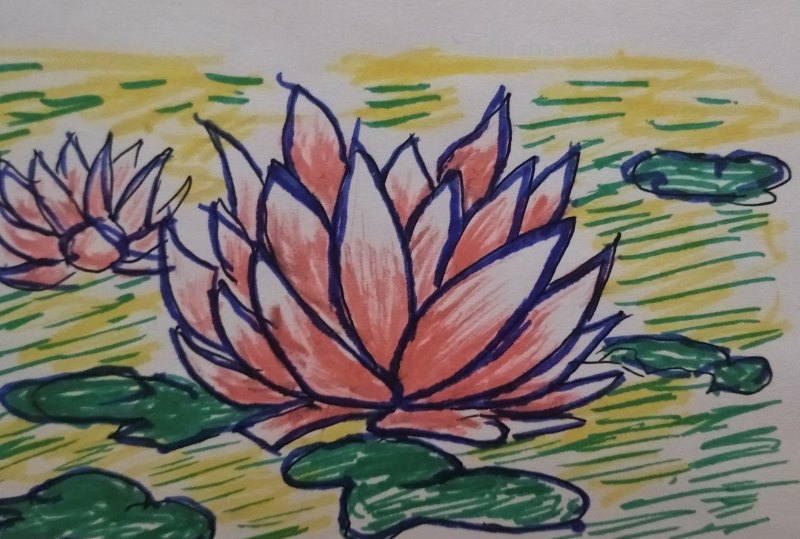 用过的水还可以干什么简笔画 水有什么用途儿童画？