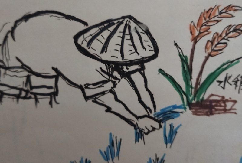 用过的水还可以干什么简笔画 水有什么用途儿童画？