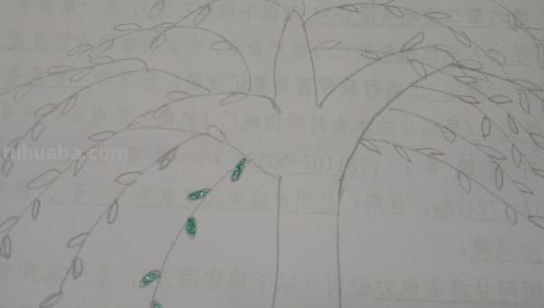 怎么画小树手抄报 小树简笔画怎么画？
