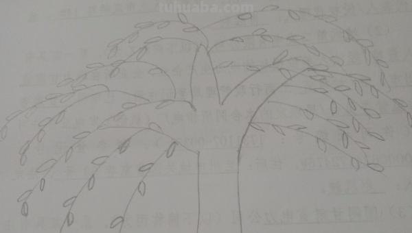 怎么画小树手抄报 小树简笔画怎么画？