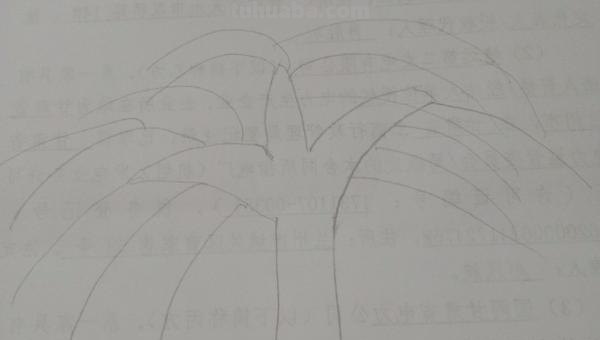 怎么画小树手抄报 小树简笔画怎么画？