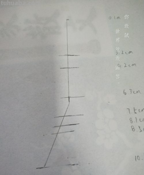 人物素描怎么画