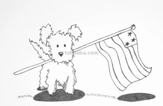 每天学一幅简笔画-非常逼真的针管笔小动物简笔画