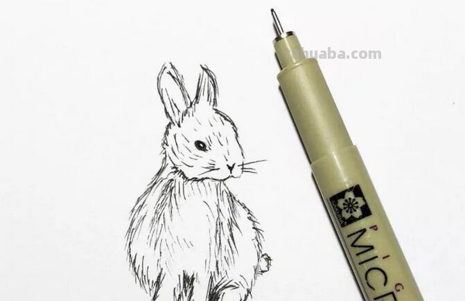 每天学一幅简笔画-非常逼真的针管笔小动物简笔画