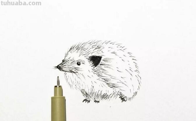 每天学一幅简笔画-非常逼真的针管笔小动物简笔画