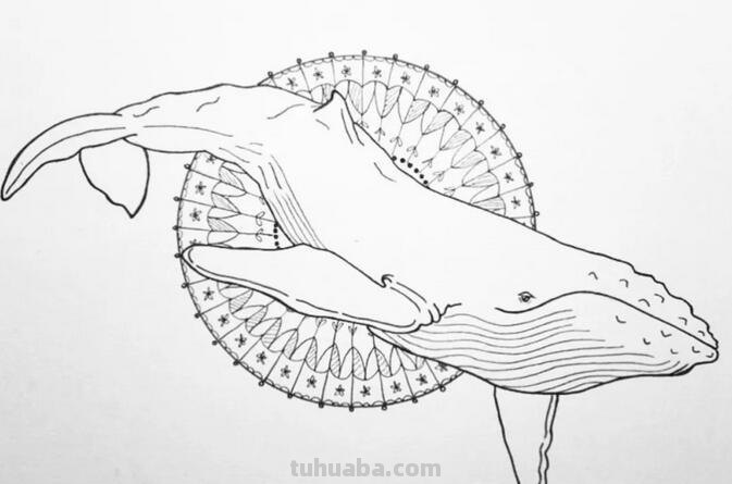 每天学一幅简笔画-非常逼真的针管笔小动物简笔画