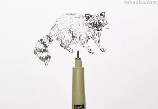 每天学一幅简笔画-非常逼真的针管笔小动物简笔画