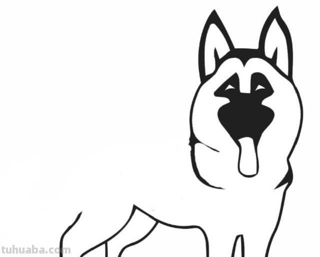 狼怎么画简笔画图片大全大图 狼怎么画简单？