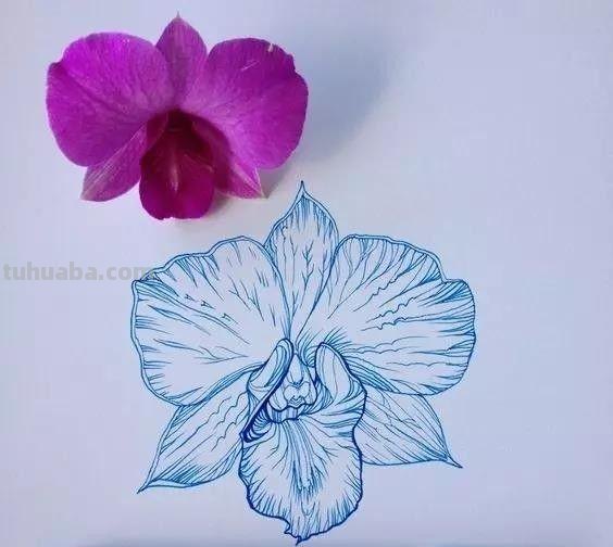 干货！你们要的绘画工具和上色技巧统统在这里……