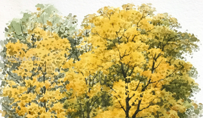 色彩风景树木怎么画