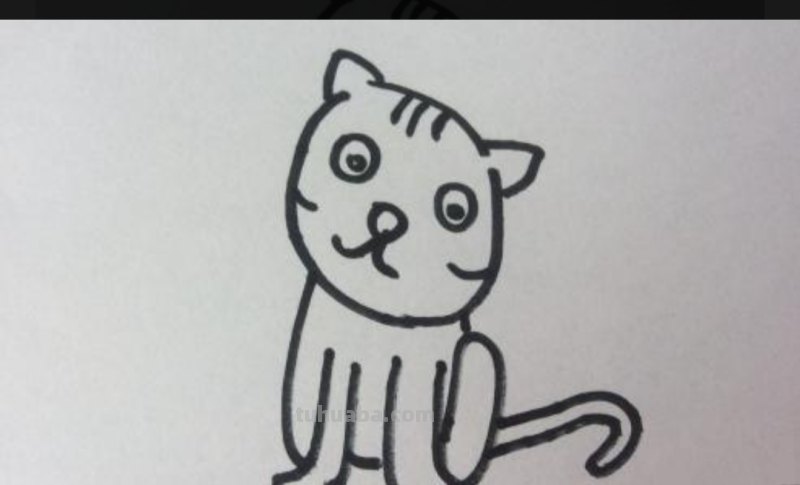 猫速写可爱 如何素描一只可爱的小猫咪？