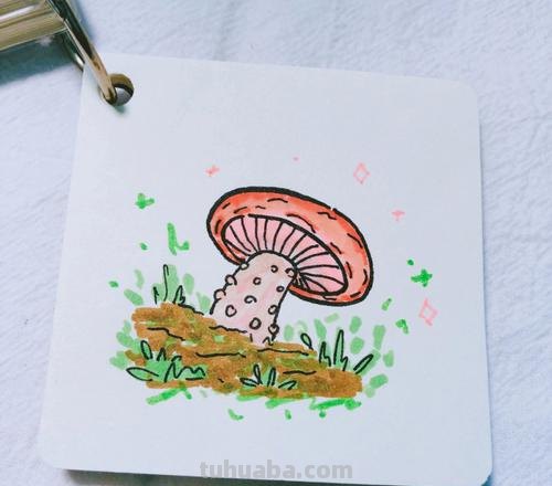 小蘑菇简笔画 小蘑菇简笔画图片大全