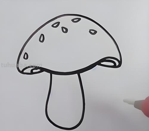 小蘑菇简笔画 小蘑菇简笔画图片大全