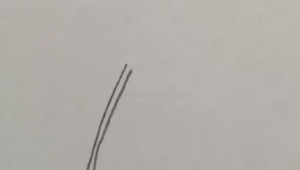 花朵怎么画 铅笔画