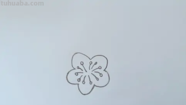 梅花怎么画铅笔画