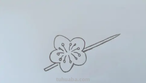 梅花怎么画铅笔画