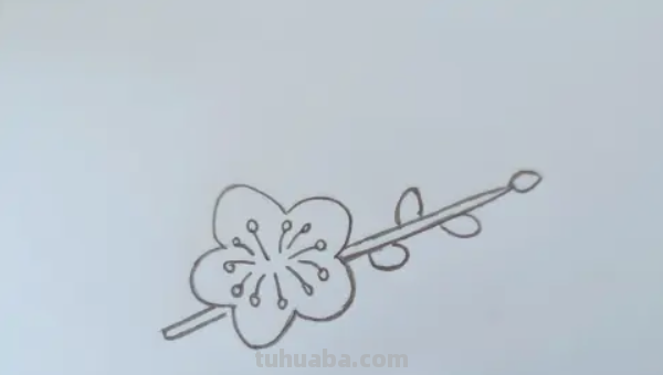 梅花怎么画铅笔画