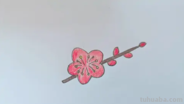 梅花怎么画铅笔画