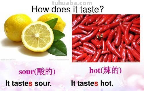 taste手抄报怎么画 taste是什么意？