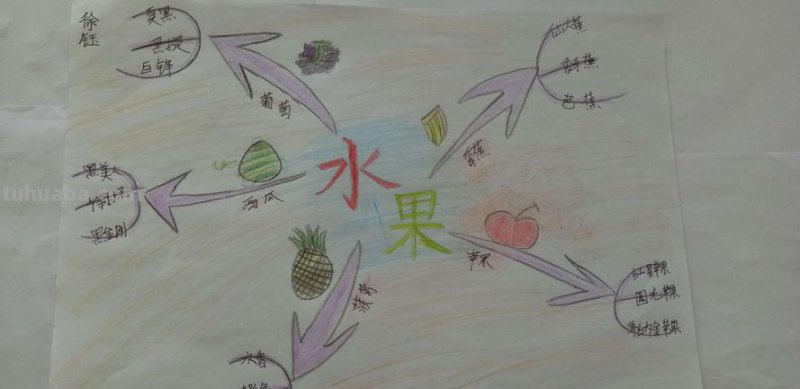 水果家族思维导图怎么画 水果家族报幕词？