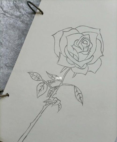 铅笔画玫瑰花 铅笔画玫瑰花一步一步教程