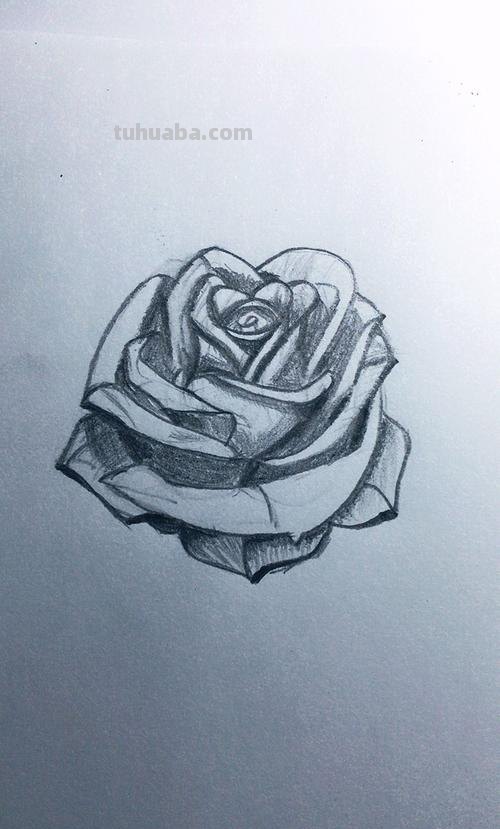 铅笔画玫瑰花 铅笔画玫瑰花一步一步教程