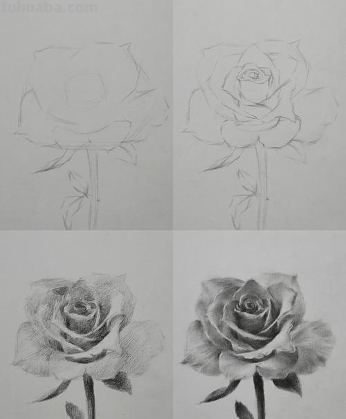 铅笔画玫瑰花 铅笔画玫瑰花一步一步教程