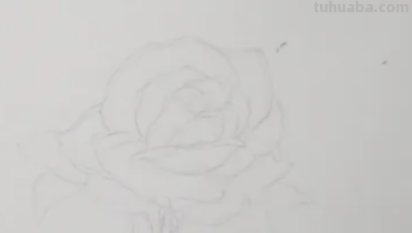 玫瑰画法教程铅笔画