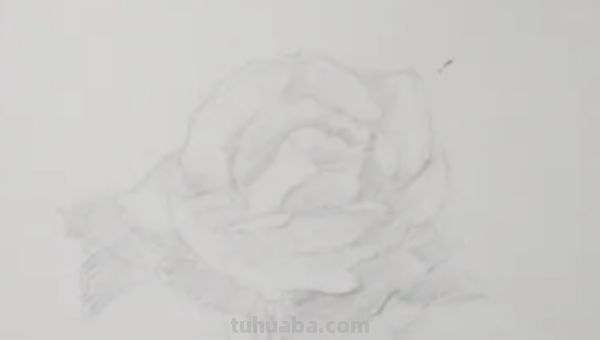 玫瑰画法教程铅笔画