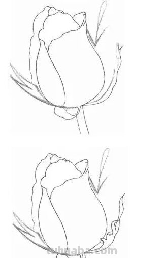 玫瑰花的素描画法图解 如何用铅笔画一朵玫瑰花