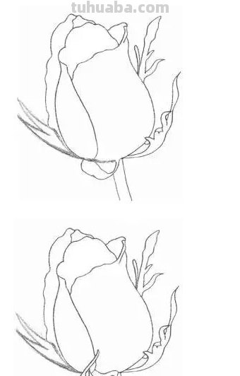 玫瑰花的素描画法图解 如何用铅笔画一朵玫瑰花