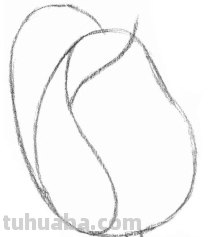 求素描玫瑰花的画法 要有有图的步骤