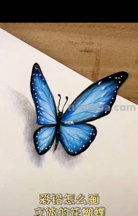彩铅玫瑰与蝴蝶怎么画 儿童彩铅画教程入门零基础？