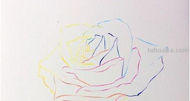 彩铅玫瑰与蝴蝶怎么画 儿童彩铅画教程入门零基础？