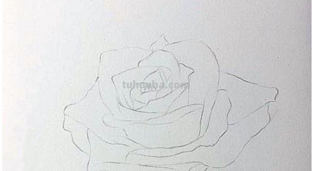 彩铅玫瑰与蝴蝶怎么画 儿童彩铅画教程入门零基础？