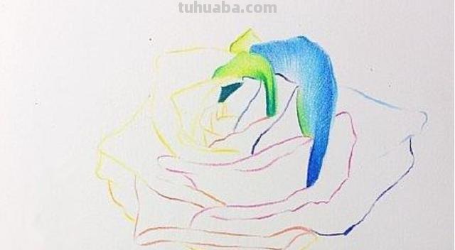 彩铅玫瑰与蝴蝶怎么画 儿童彩铅画教程入门零基础？