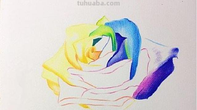 彩铅玫瑰与蝴蝶怎么画 儿童彩铅画教程入门零基础？